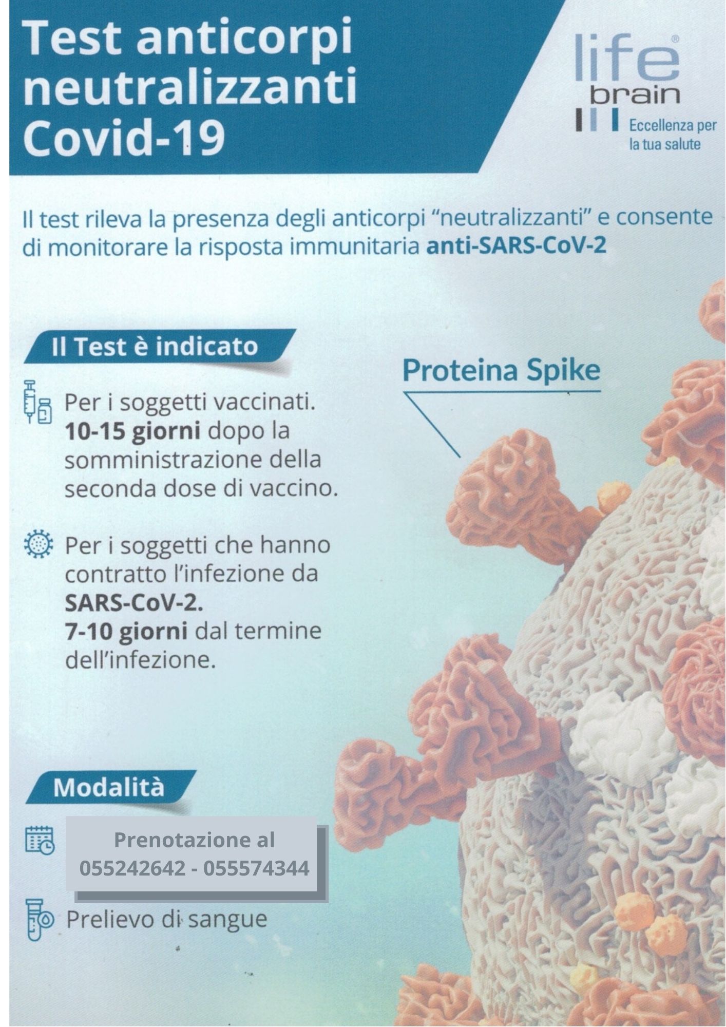 Test anticorpi